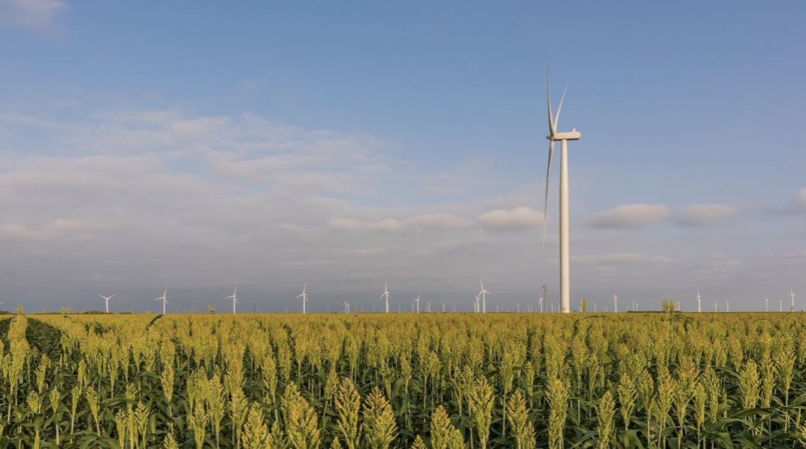 Строительство ВЭС мощностью 100 МВт с СНЭ в Улытауской области совместно с PetroKazakhstan